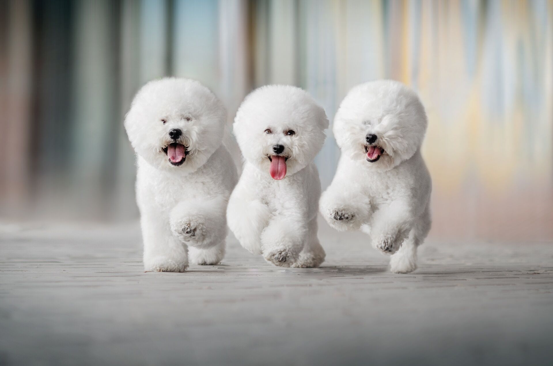 AdobeStock_368840805